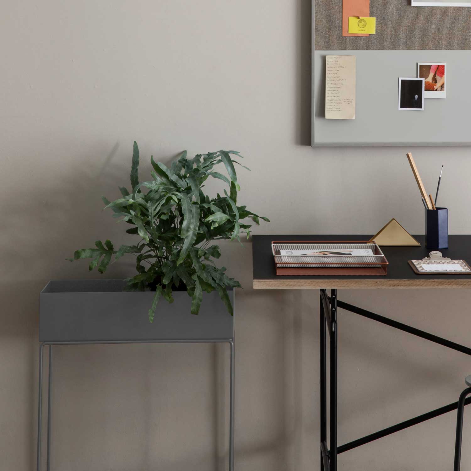 Pflanzen-Deko mit Anspruch