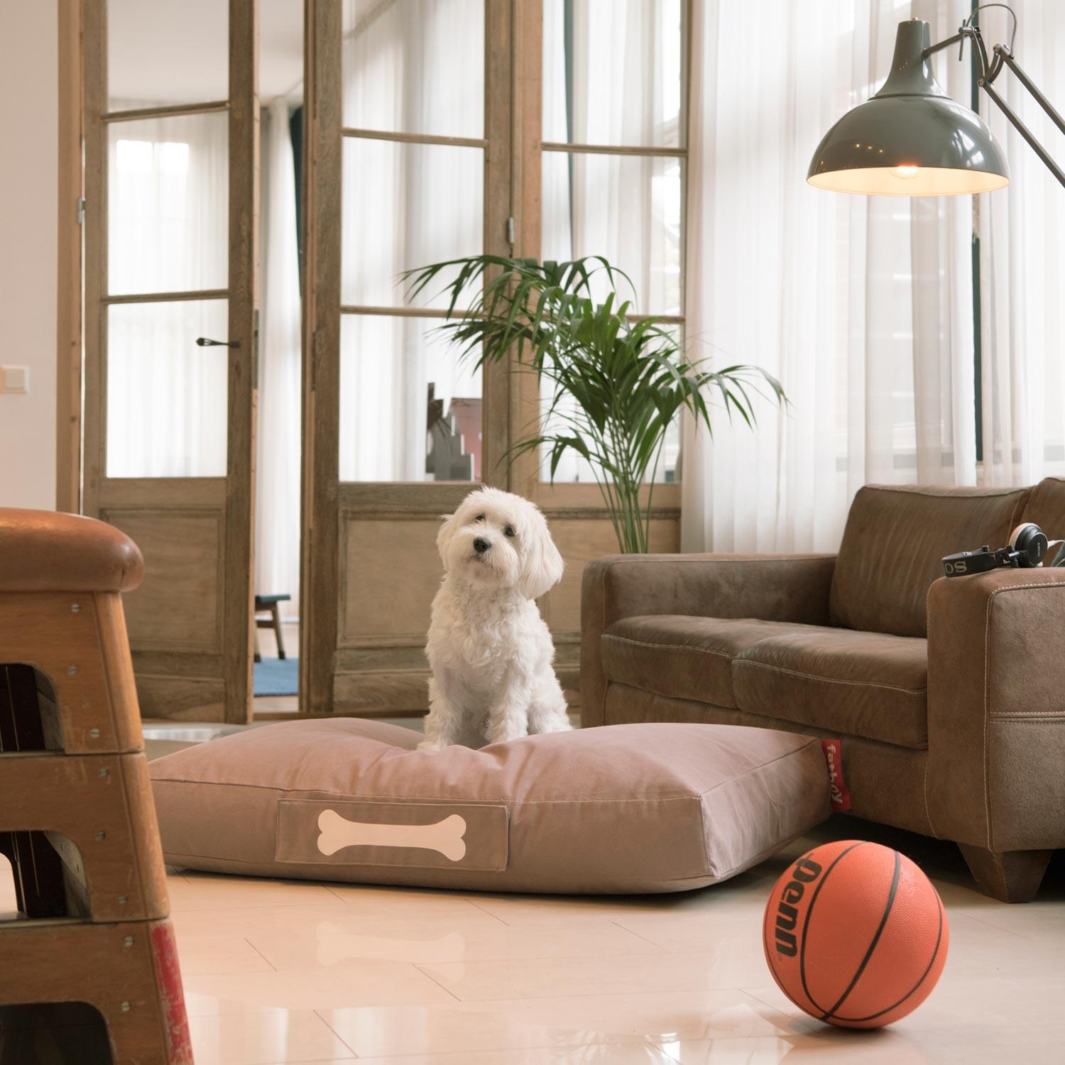 Der ideale Schlafplatz für Hunde