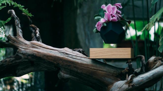 Kreative Blumentöpfe und Pflanztöpfe