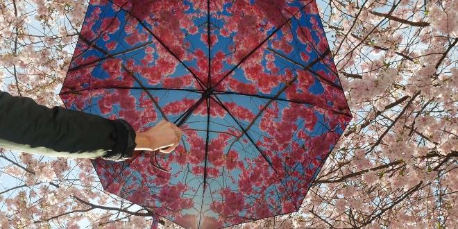 HappySweeds Regenschirme