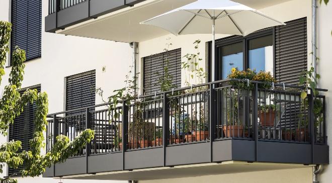 Pflanzen als Sichtschutz auf dem Balkon